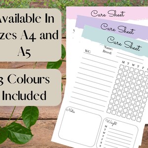 Printable Reptile Care Sheet A4 and A5 Available Instant Download ...