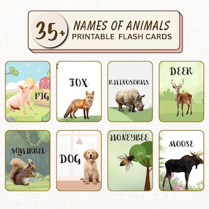 38 Tiere Lernkarten für Montesorri Kinder Vorschule ausdruckbare Lernkarten PDF Sofort-Download (38 Stück)