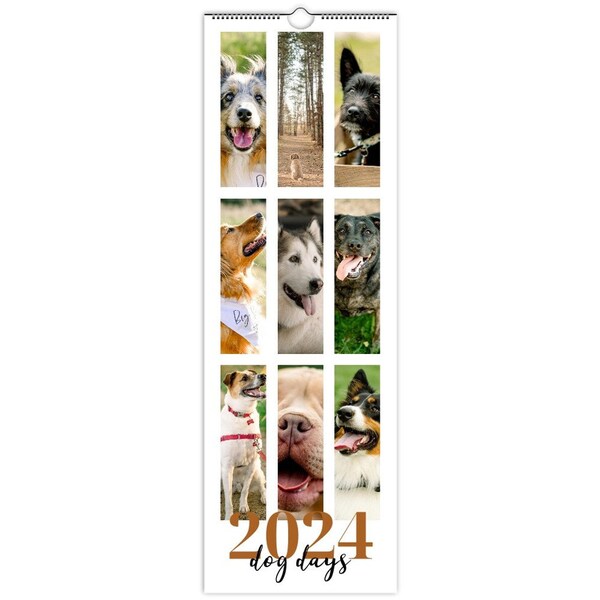 2025 Pet Calendar Etsy
