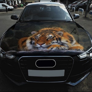 Tiger Car Hood Wrap Full Color Vinyl Decal Predator Sticker #4