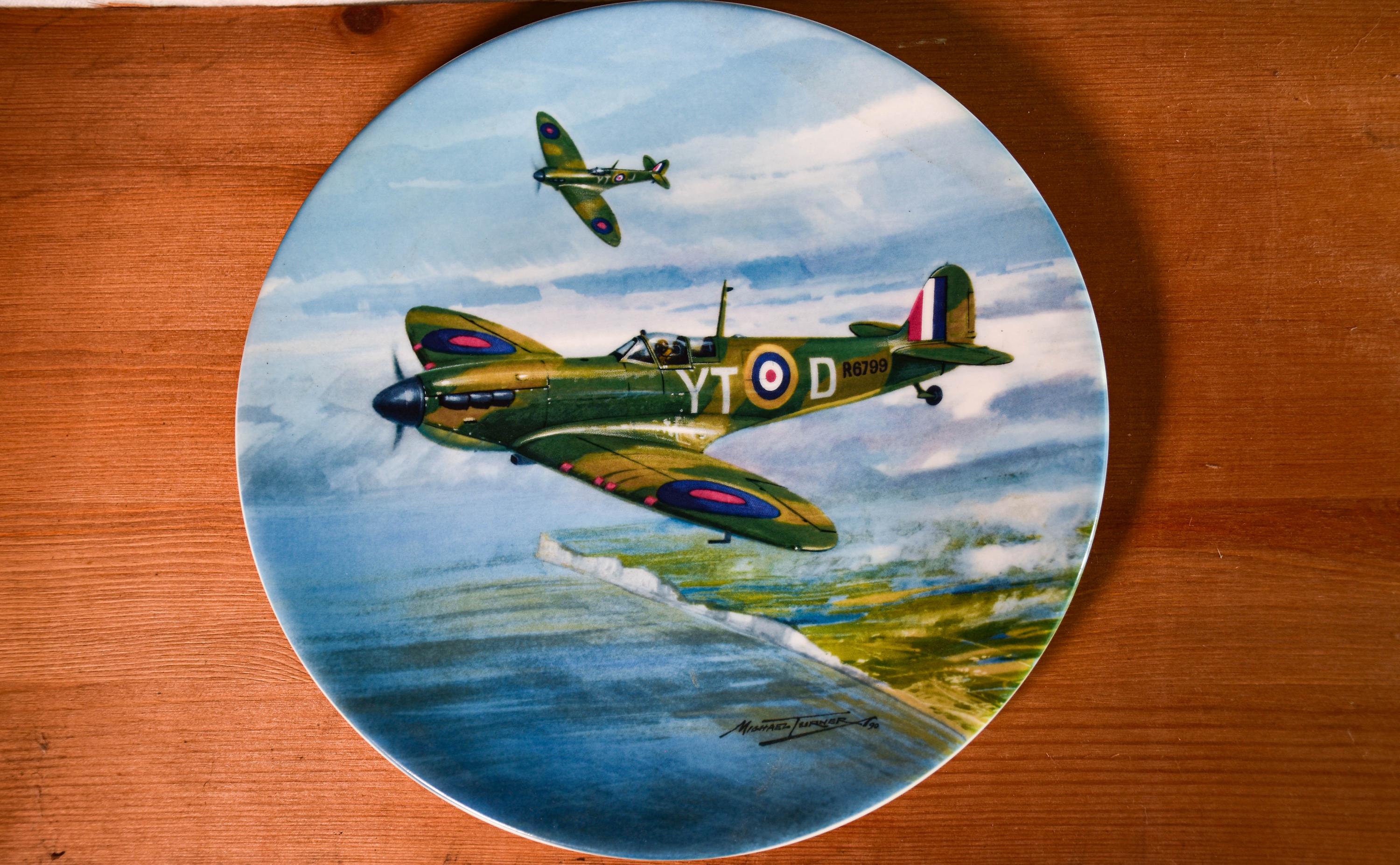 Coalport Collectors Plate - Dawn Patrol - Etsy UK