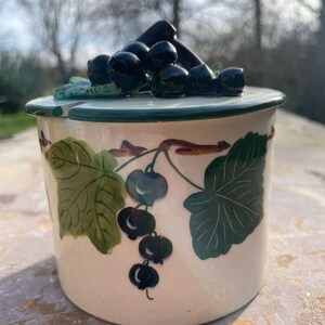 Può includere: Un vaso di ceramica con coperchio, con un disegno dipinto a mano di ribes neri e foglie verdi su sfondo color crema. Il coperchio è sormontato da un gruppo di sculture di ribes neri. Il bordo è dipinto di verde.