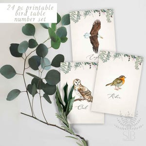 Cartes illustrées de numéros de table de mariage d'oiseaux, cartes mémoire oiseaux, noms de table d'animaux, cartes de table illustrées de mariage