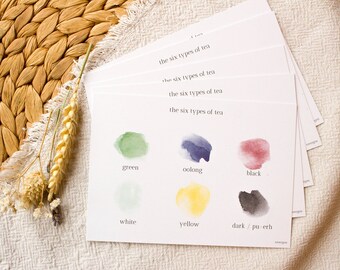 Tea Types - Postcard Set - Art print about the six types of tea. A greeting to a tea friend or tea lover