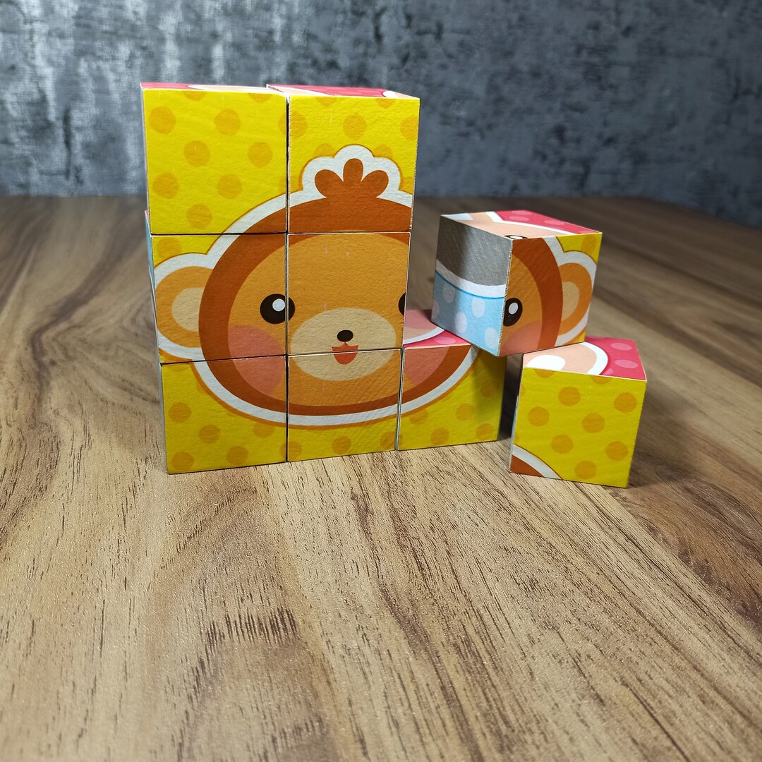 Wooden Block Puzzle Picture Cube Puzzle Wooden Montessori Toy for Kids ...