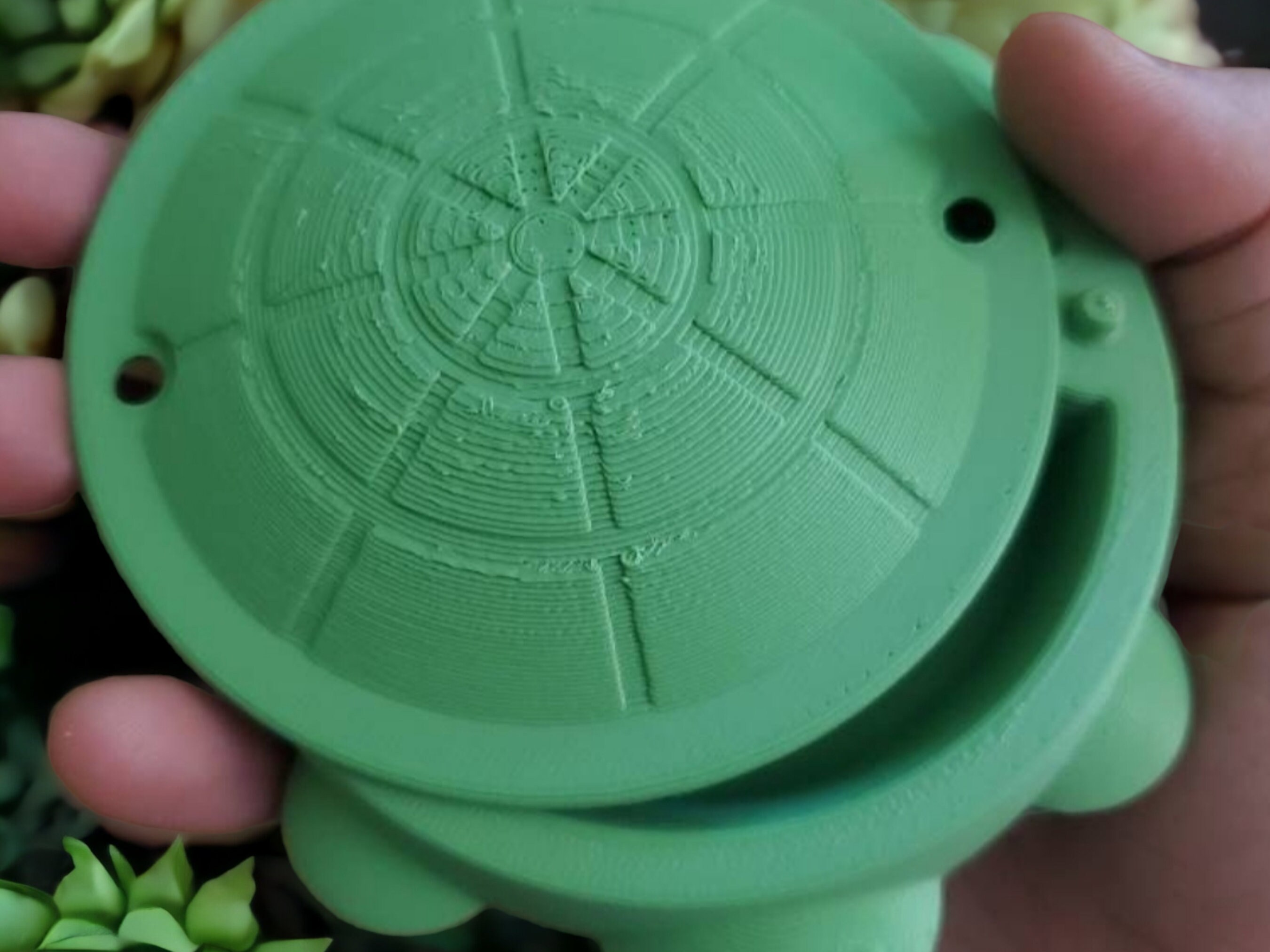 Turtle Mini Sandbox With Lid: Reptile Feeder, Desk Organizer - Etsy