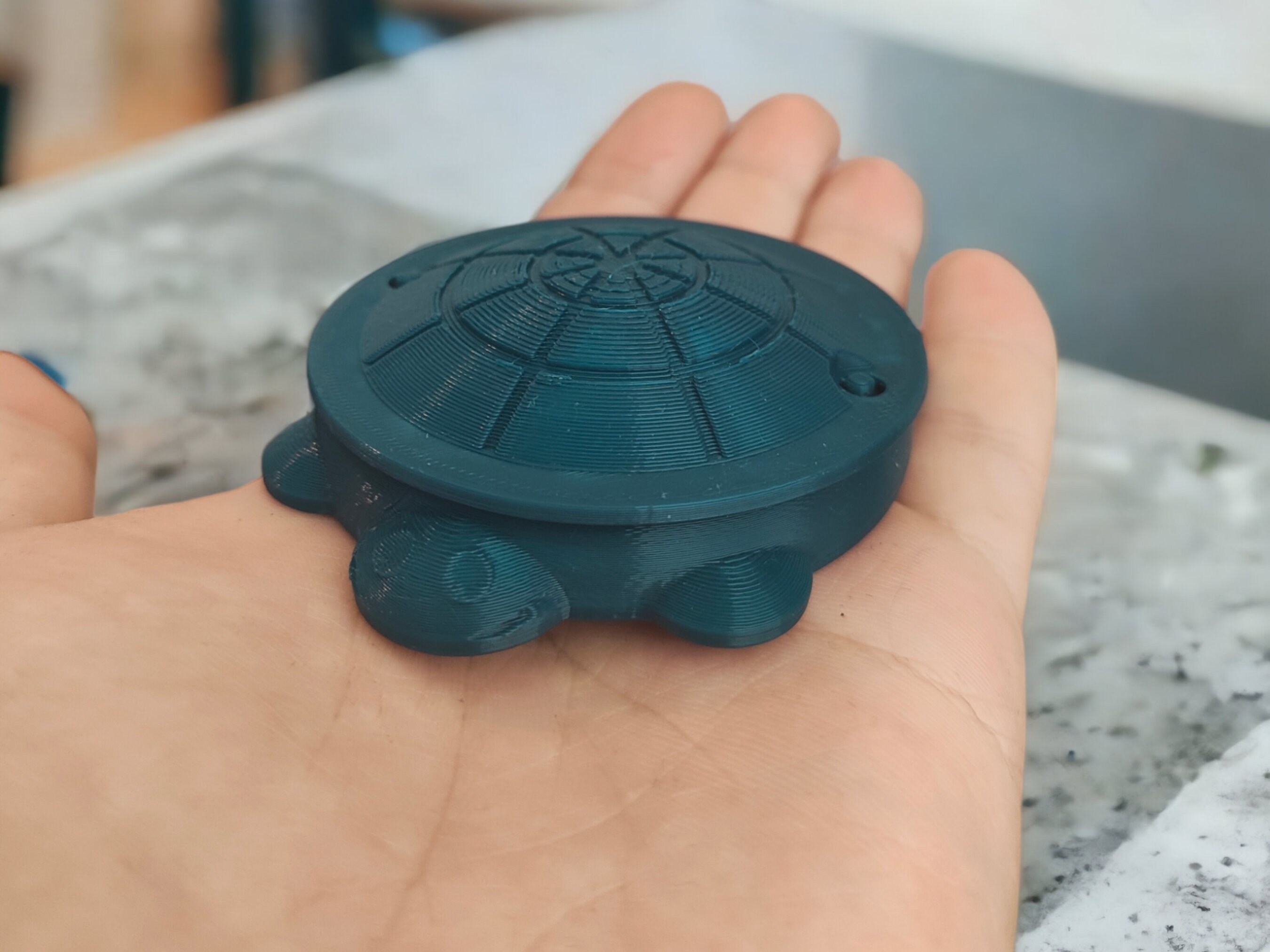 Turtle Mini Sandbox With Lid: Reptile Feeder, Desk Organizer - Etsy