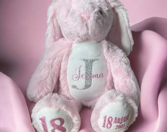 Birthday Teddy Bear with Custom Name, Personalised Stuffed Animal, Birthday Present