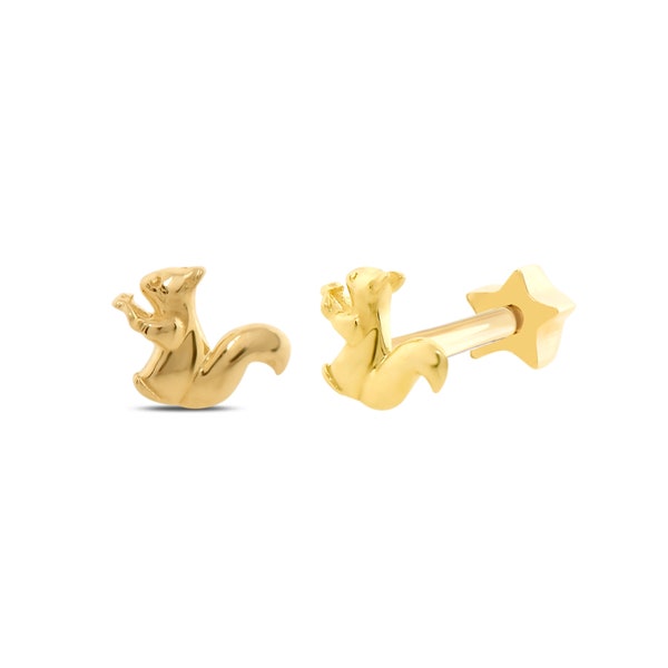 14k Solid Gold Squirrel Tragus Piercing, Piccolo Tragus Animal Piercing, Orecchino carino, Helix Flat Back Stud Piercing, Rook Piercing, Oro Reale