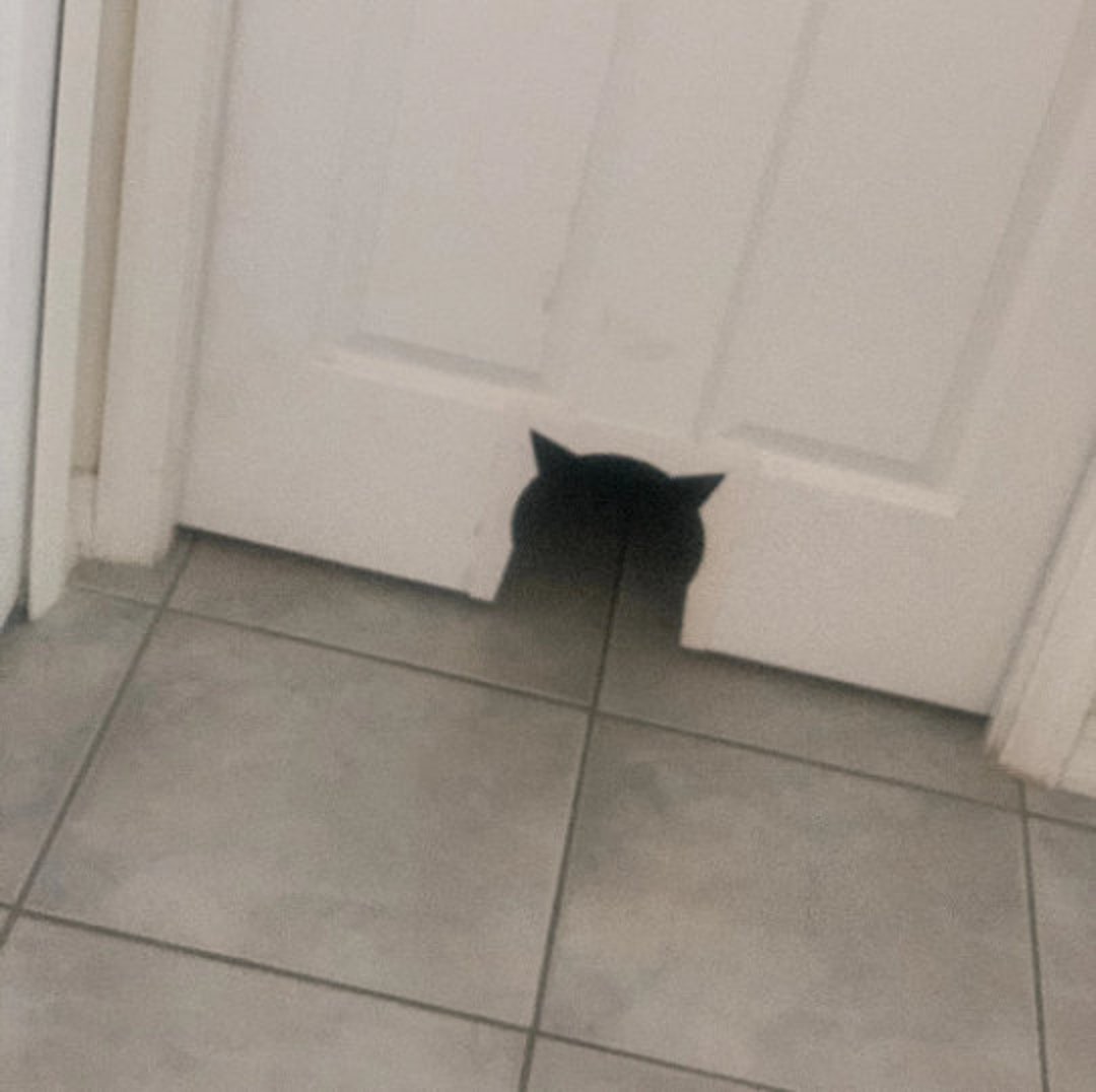Cat Door - 3D STL File ! - Etsy