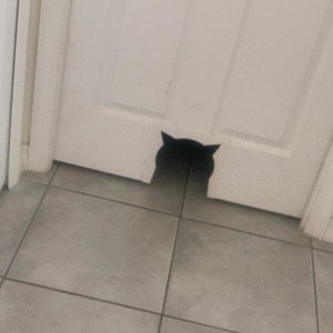 Cat Door - 3D STL File !