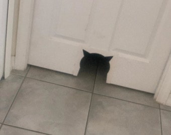 Cat Door - 3D STL File !