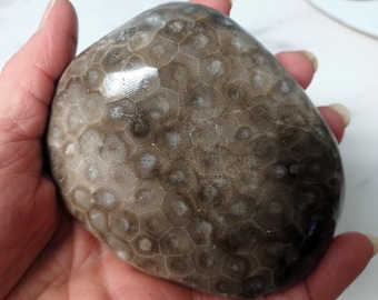 Hand polished Petoskey stone Medium/Large