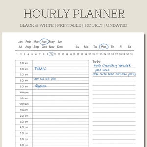 Hourly Planner Printable | Undated Planner | Daily Planner | 30 Minute Planner | Daily Schedule and To Do List