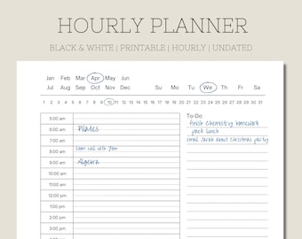 Hourly Planner Printable | Undated Planner | Daily Planner | 30 Minute Planner | Daily Schedule and To Do List