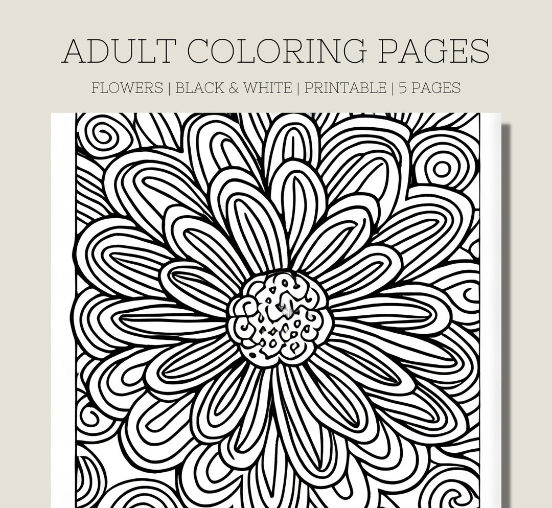 Amazing Night Flowers 2: Simply Satisfying Large Print Coloring Book For  Seniors and Adults With Black Pages and Amazing Flowers For Coloring: Adult Coloring  Book For Anxiety and Depression by Coloringship Studio
