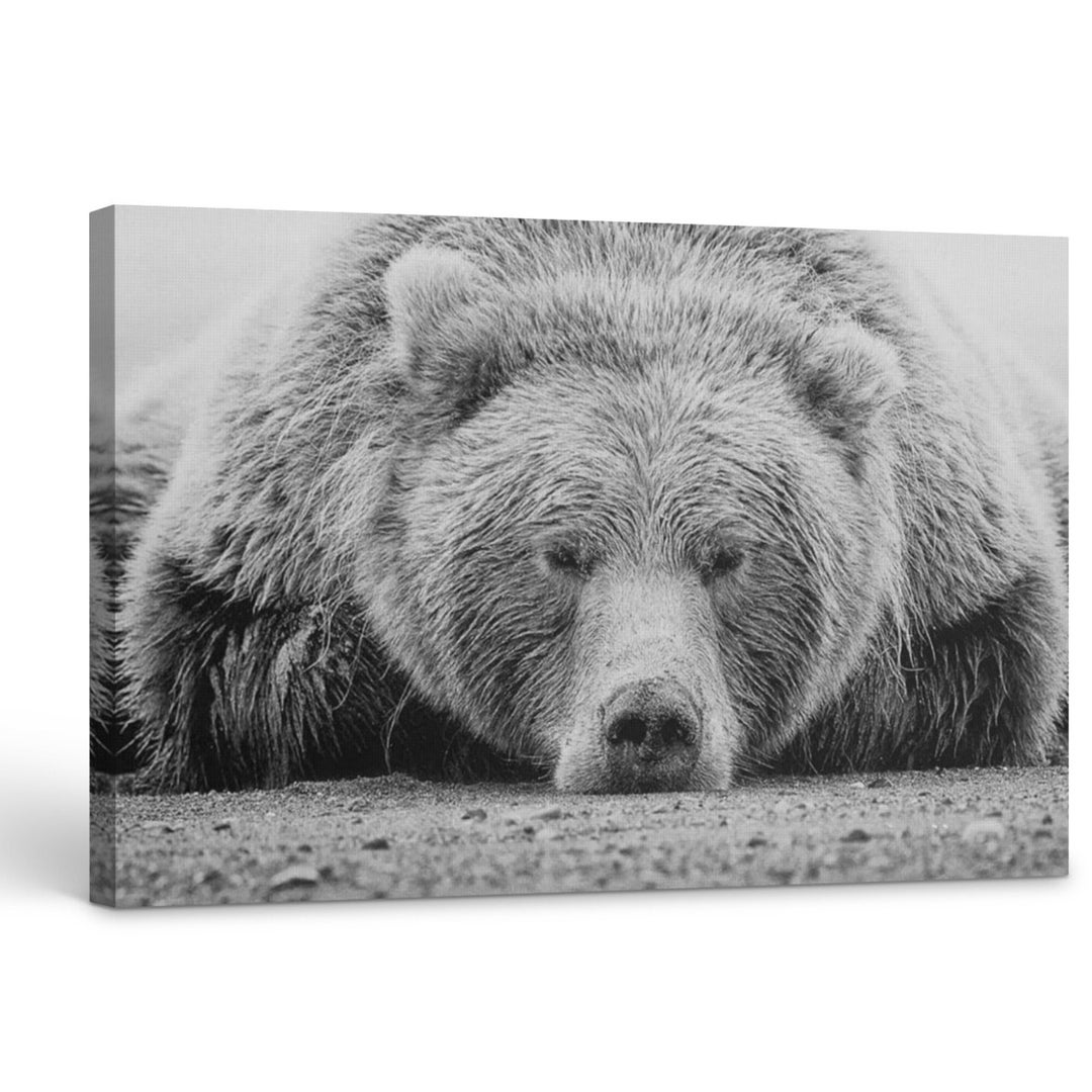 Sleeping Bear Canvas or Poster Bear Painting Black and Etsy