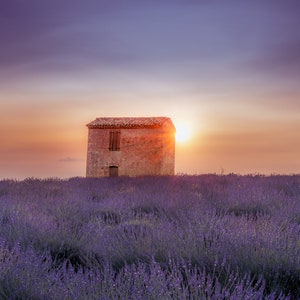 Provence Lavender Field Romantic Sunset Canvas.  Lavender Sunset Dream Bedroom Art. Romantic Travel to France Home, Office and Gift Decor.