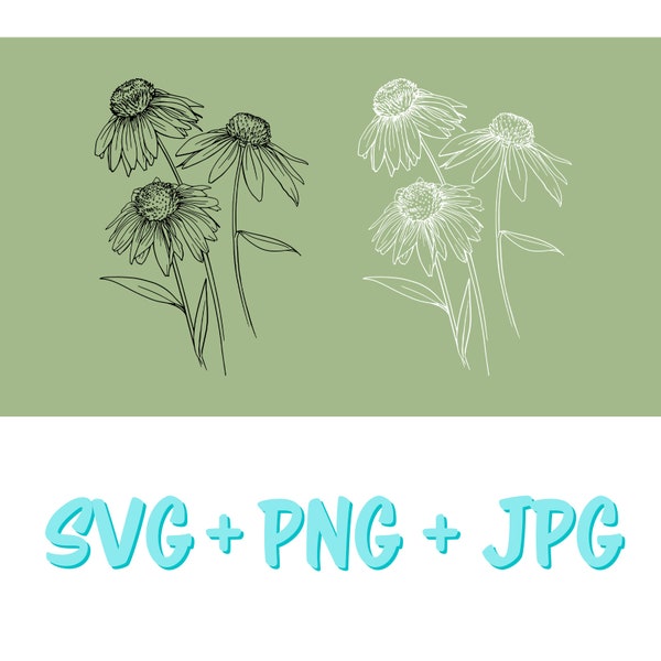 Wilder Coneflower svg für Cricut und Silhouette, Floral svg, Flower Drawing svg - Sofort Download