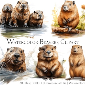 Akvarell bäver clipart set: 20 PNG- och PDF-filer (kommersiellt bruk)