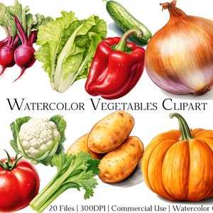 Watercolor Vegetables Clipart Set: 20 PNG & PDF Files (Commercial Use)