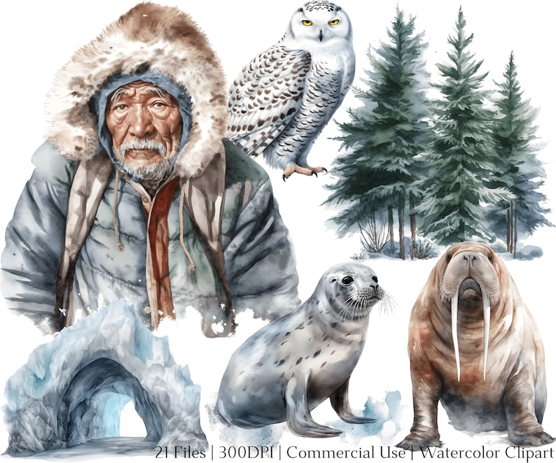 Watercolor Arctic Animals Clipart Set: Winter PNG + PDF (digital ...