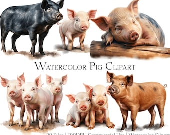Watercolor Pig Clipart Set of 20 Files with Instant Download & Commercial Use, PNG + PDF Format, Perfect for DIY Crafts.
