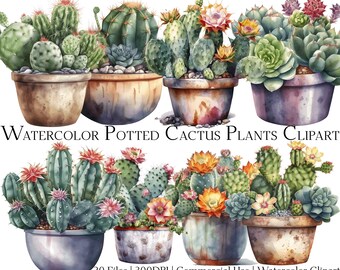 Watercolor Potted Cactus Clipart: Desert Plant PNG & PDF (20 Files)