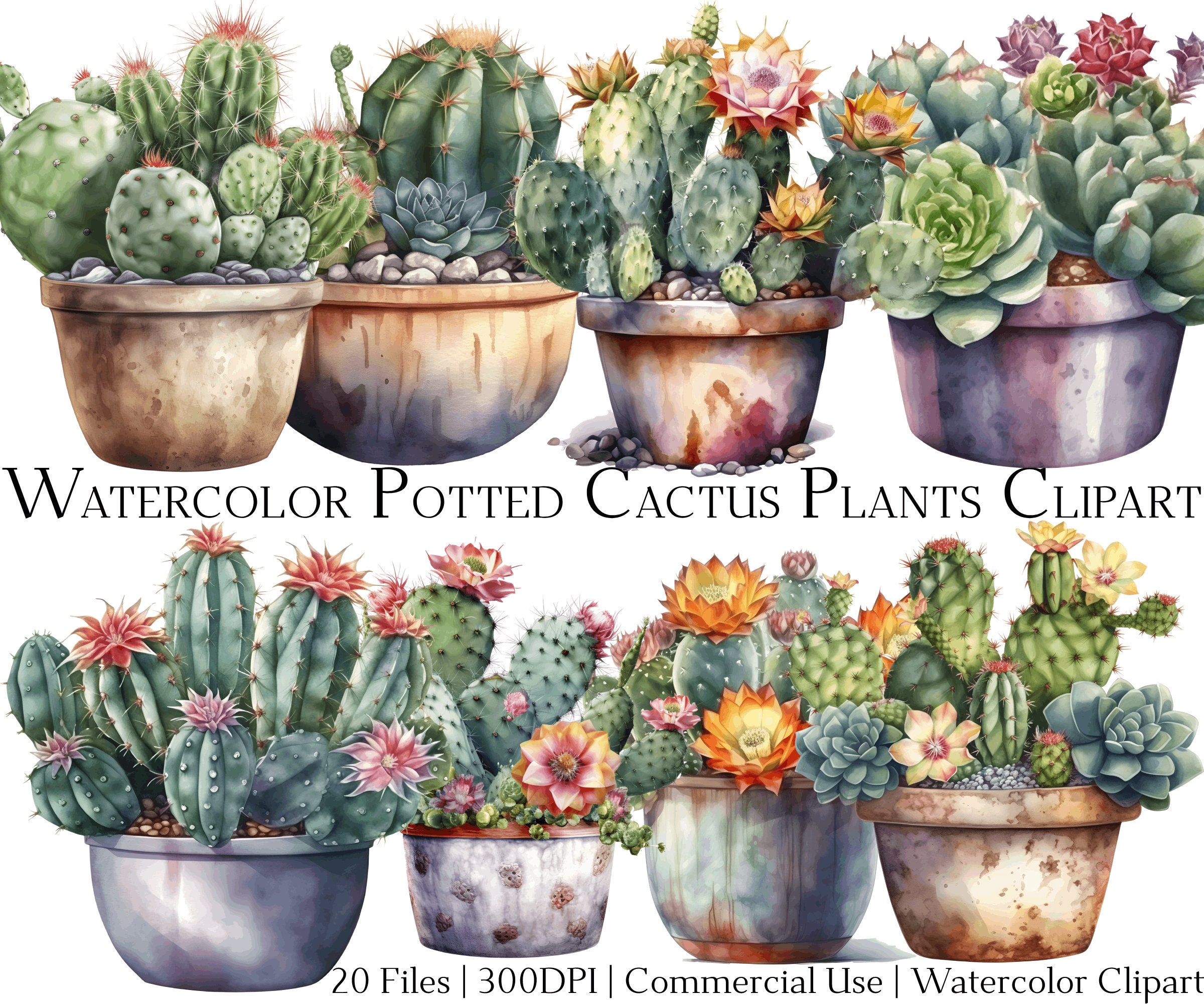 Watercolor Potted Cactus Clipart: Desert Plant PNG & PDF (20 Files) - Etsy