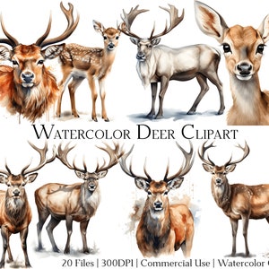 Watercolor Deer Clipart Set of 20 Files with Instant Download & Commercial Use, PNG + PDF Format, Perfect for DIY Crafts.
