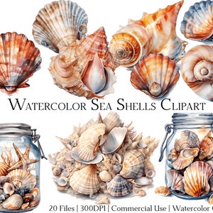Set di 20 file di clipart di conchiglie marine acquerellate con download immediato e uso commerciale, formato PNG + PDF, perfetto per il fai da te.