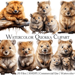 Aquarel Quokka-clipartset van 20 bestanden met directe download en commercieel gebruik, png- en pdf-indeling, perfect voor doe-het-zelvers.