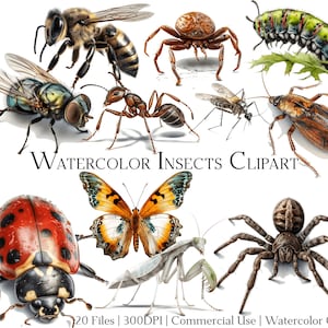Watercolor Insects Clipart Set of 20 Files with Instant Download & Commercial Use, PNG + PDF Format, Perfect for DIY Crafts.