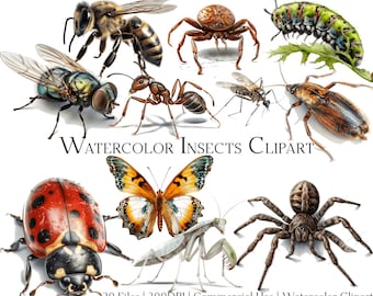 Conjunto de imágenes prediseñadas de insectos en acuarela: 20 archivos PNG y PDF, uso comercial