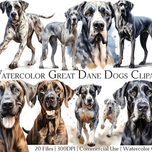 Watercolor Great Dane Dogs Clipart Set of 20 Files with Instant Download & Commercial Use, PNG + PDF Format, Perfect for DIY Crafts.