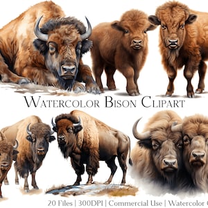 Conjunto de 20 arquivos de clipart de bisão em aquarela com download instantâneo e uso comercial, formato PNG + PDF, perfeito para artesanato "faça você mesmo".