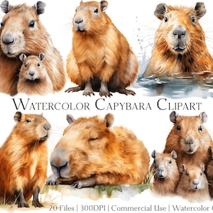 Watercolor Capybara Clipart Set of 20 Files with Instant Download & Commercial Use, PNG + PDF Format, Perfect for DIY Crafts.