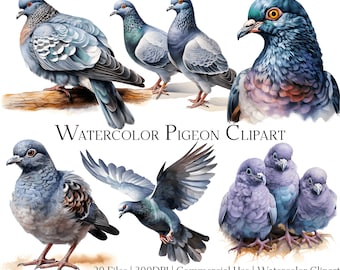 Watercolor Pigeon Clipart Set: DIY Crafts & Commercial Use (PNG + PDF)