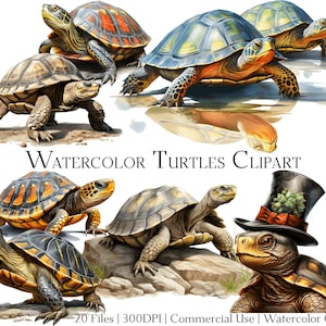 Wasserfarbe Schildkröte Clipart Set mit 20 Dateien mit sofortigem Download und kommerzielle Nutzung, PNG + PDF-Format Perfekt für Heimwerker.