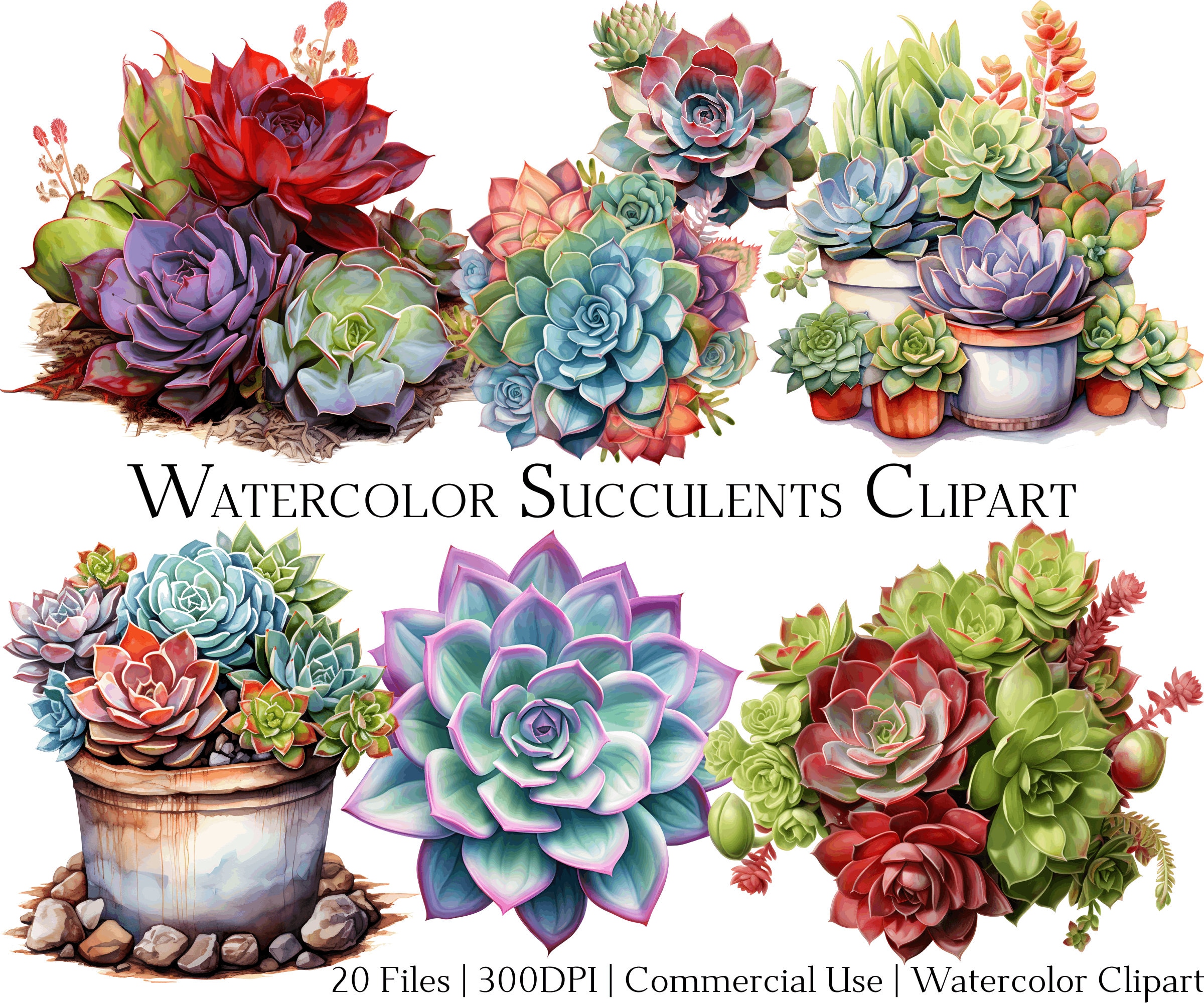 Watercolor Succulents Clipart Set of 20 Files With Instant - Etsy