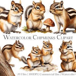 May include: Watercolour clipart featuring 7 adorable chipmunks in various poses. The chipmunks are depicted in a realistic style with intricate details, including their fur, whiskers, and eyes. The clipart is perfect for adding a touch of whimsy to your projects.