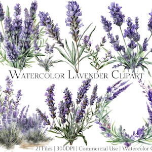 Watercolor Lavender Flower Clipart Set of 21 Files with Instant Download & Commercial Use, PNG + PDF Format, Perfect for DIY Crafts/Art.