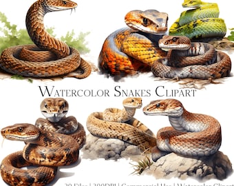 May include: Watercolor clipart featuring various snakes in different poses. The snakes are depicted in shades of brown, orange, green, and yellow. The image includes the text "Watercolor Snakes Clipart".