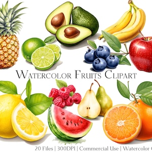 Conjunto de clipart de frutas em aquarela com 20 arquivos com download instantâneo e uso comercial, formato PNG + PDF, perfeito para artesanato DIY