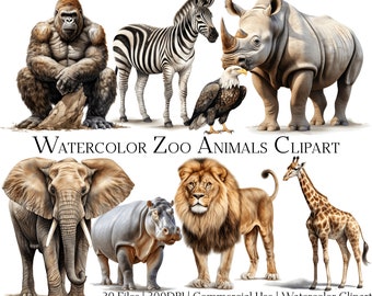 Watercolor Zoo Animals Clipart: 20 PNG & PDF Files (Commercial Use)