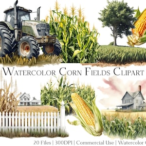 Set di 20 file di clipart di campi di mais ad acquerello con download immediato e uso commerciale, formato PNG + PDF, perfetti per il fai da te.