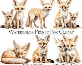 Ensemble de cliparts aquarelle fennec renard : art animalier bohème (PNG + PDF)