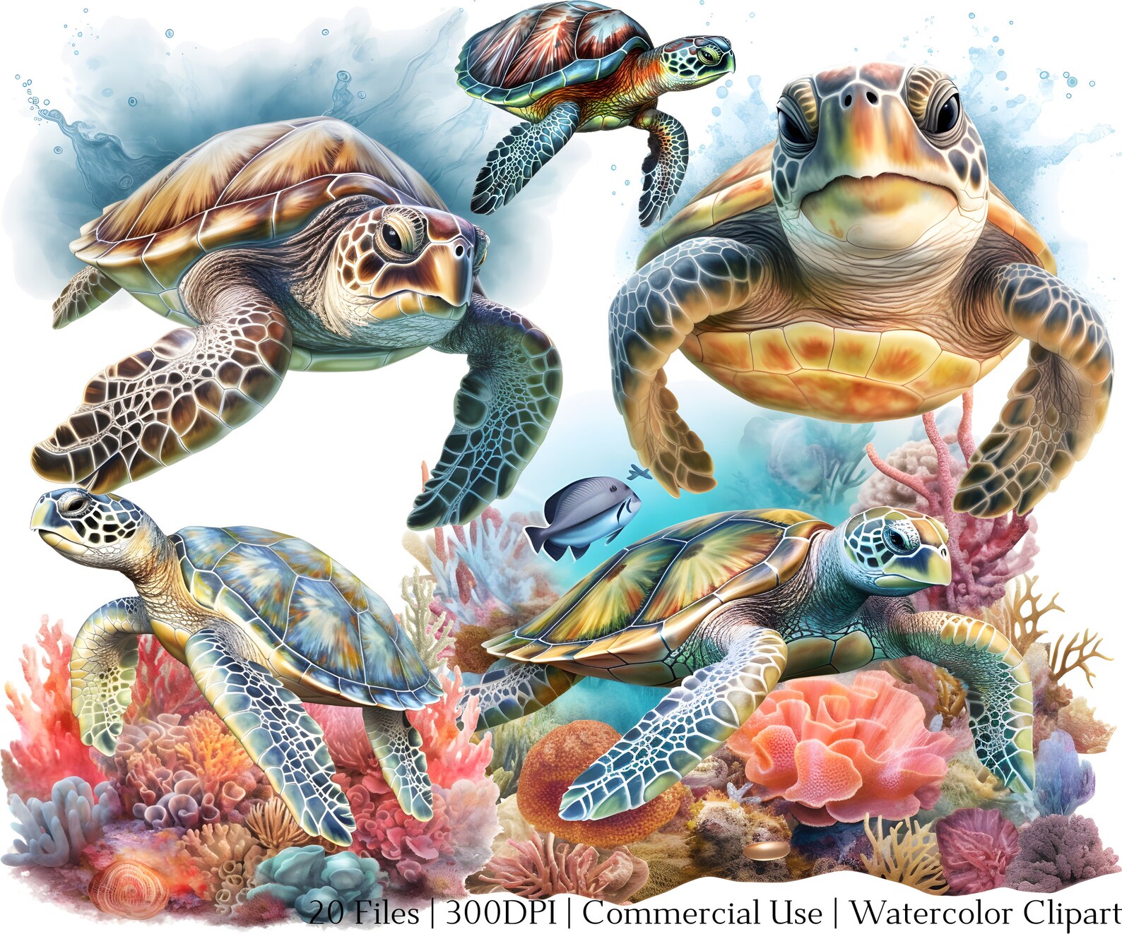 Watercolor Sea Turtle Clipart Set: Boho Nautical PNG & PDF (commercial ...