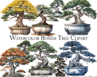 Watercolor Bonsai Tree Clipart Set: 20 PNG & PDF Files