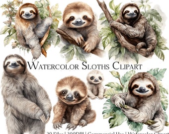 Watercolor Sloth Clipart Set of 20 Files with Instant Download & Commercial Use, PNG + PDF Format, Perfect for DIY Crafts.